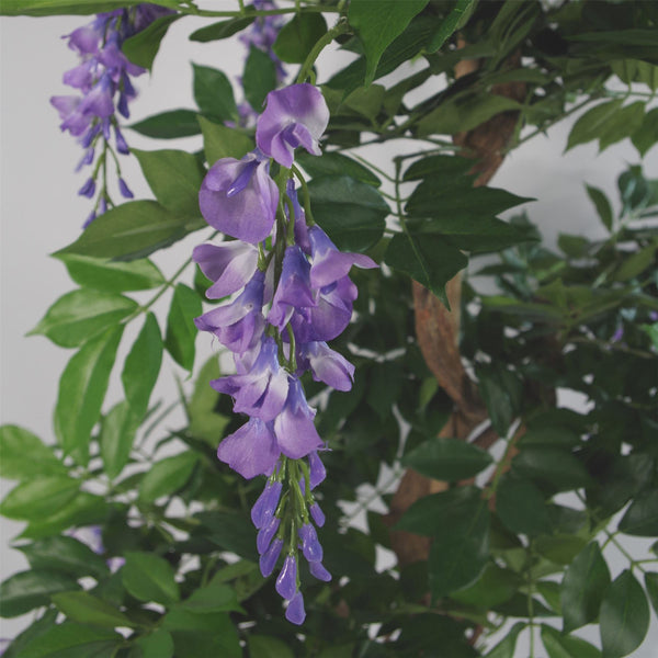 Artificial Wisteria Tree 110cm Artificial Purple Trunk