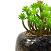 Artificial Plant Ceramic Planter Desk Plant Sedum Clavatum 14cm