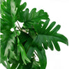 Artificial Hanging Plant Philodendron Leaf Plant