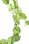 180cm Artificial Trailing Hanging Devil's Ivy Plant Realistic