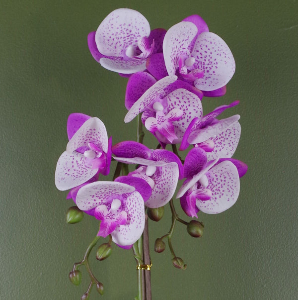 Purple White Orchid Artificial 50cm Gold Pot