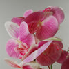 Artificial Orchid Silver Ceramic Planter Pink Silver Planter 70cm