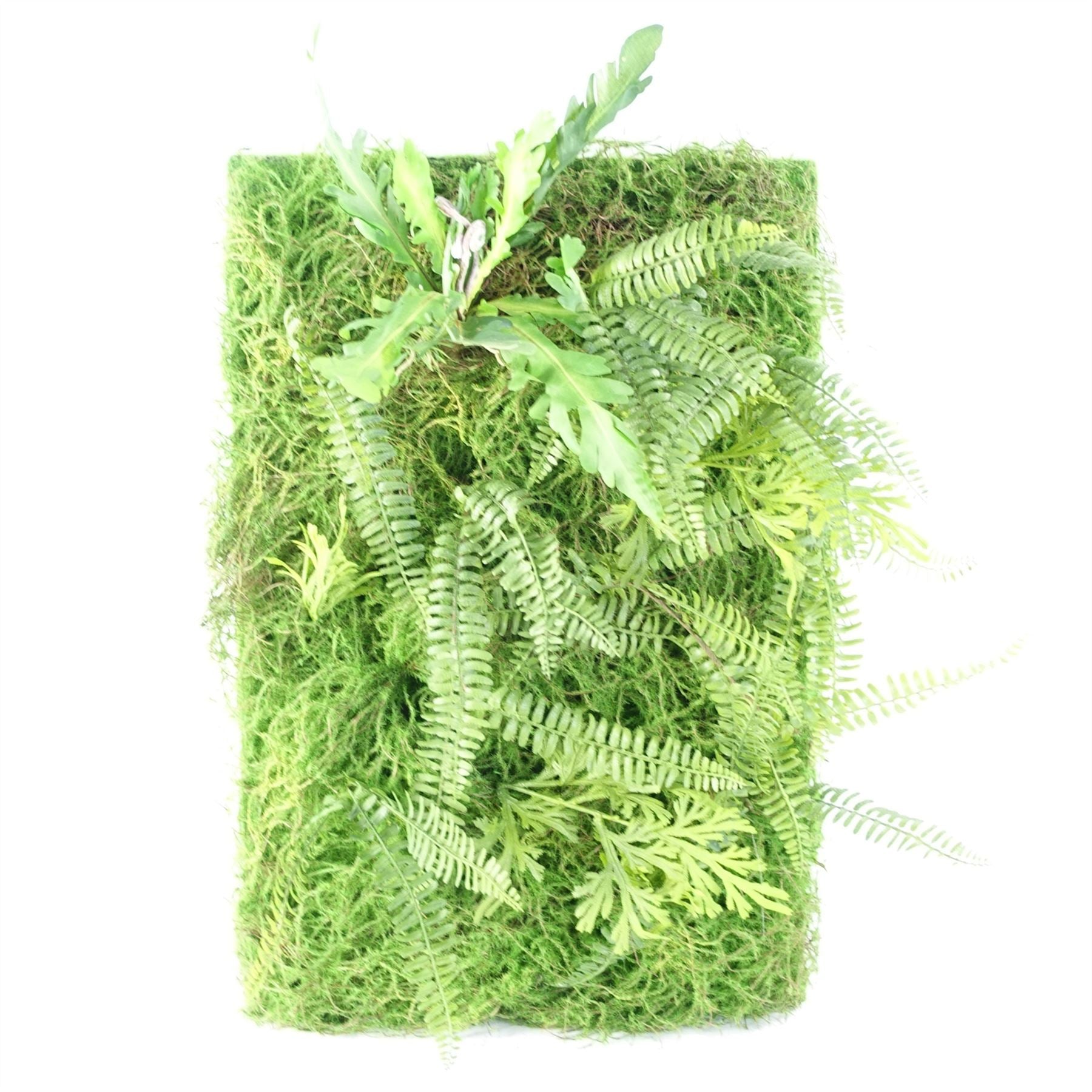 Artificial Green Wall Fern