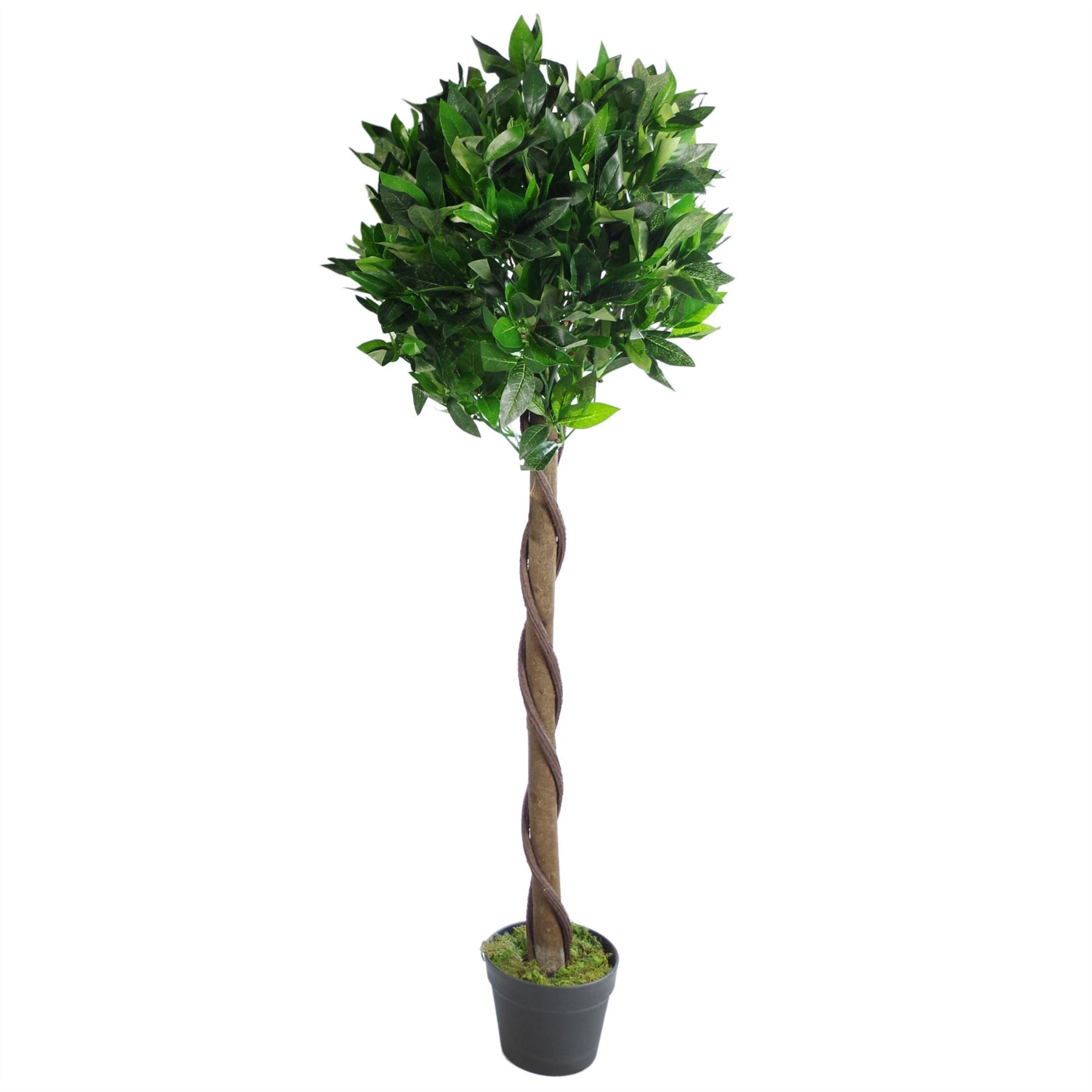 Artificial Bay Laurel Trees - Large Statement Entrance Trees