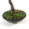 Artificial Bonsai Tree Mini Bonsai 25cm UK Trees Plant