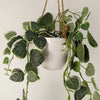 90cm Artificial Potted Trailing Hanging Natural Look Plant Realistic - String of Hearts