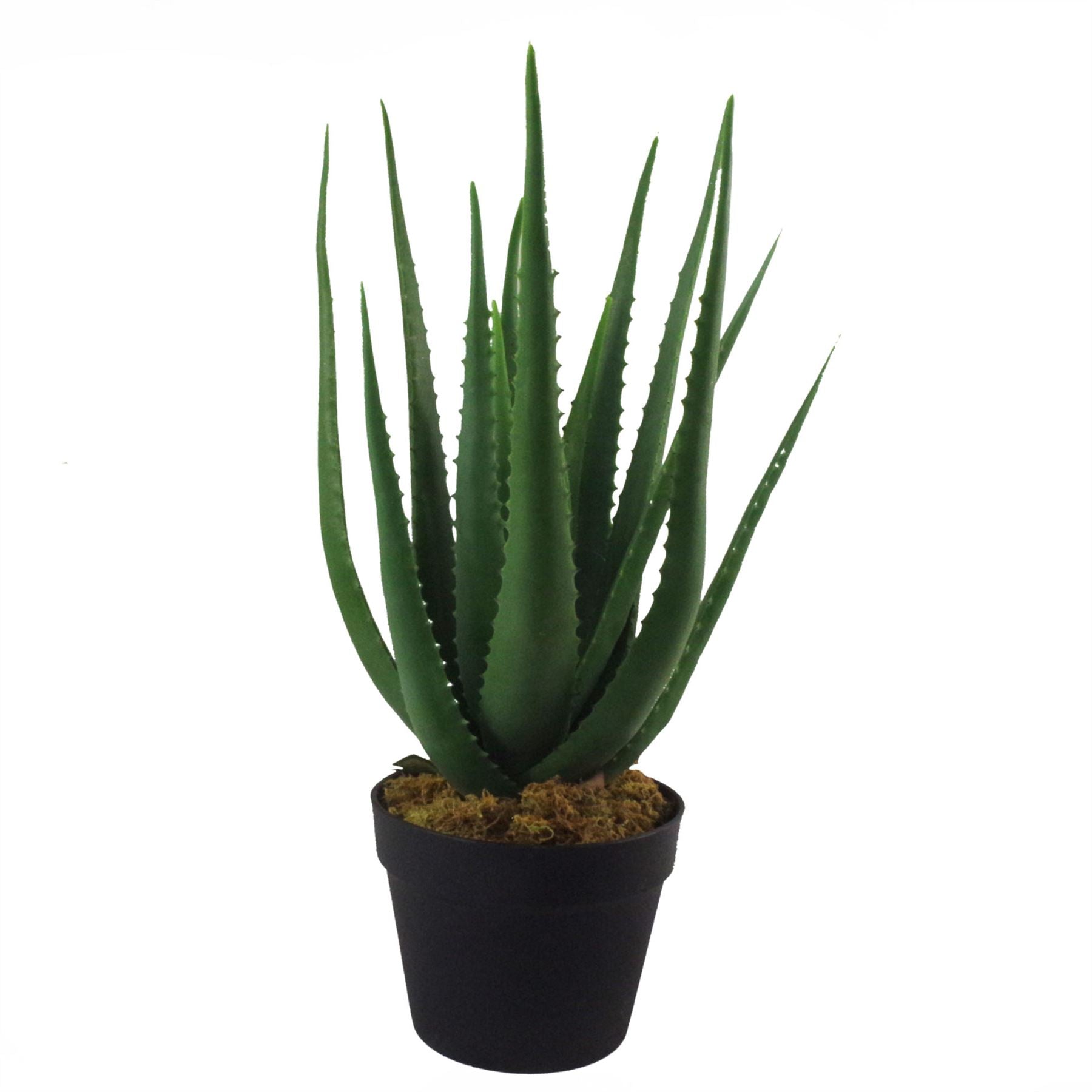 Artificial Aloe Succulent Plant 55cm Aloe UK Trees Plant