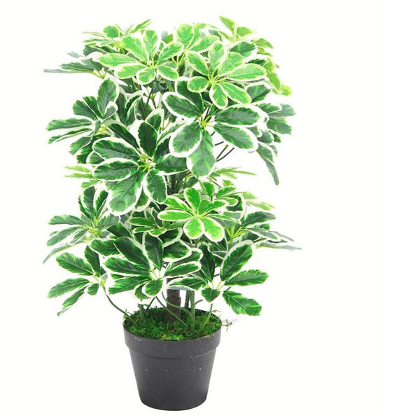 Artificial Schefflera Arboricola Plant Plastic Pot 55cm