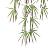 Artificial Foliage Hanging Acer Fern Plant