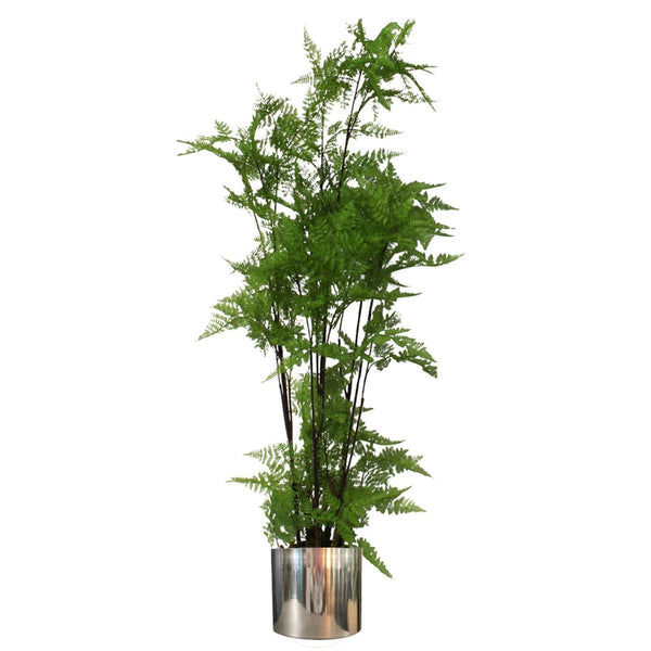 Artificial Look Moss Fern Silver Planter 150cm Leaf