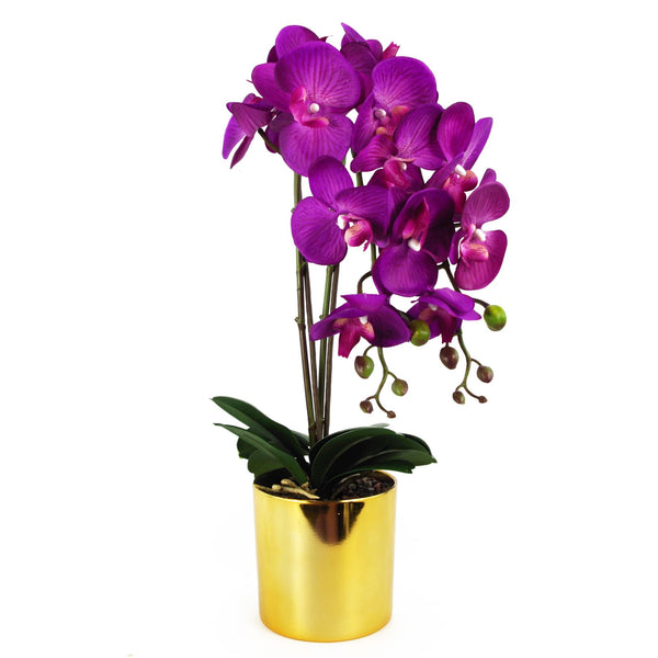 Artificial Orchid Large Purple Gold 52cm