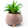 Artificial Plant Ceramic Planter Succulent Pink 15cm