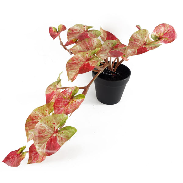 Artificial Hanging Plant Pink Splash Caladium