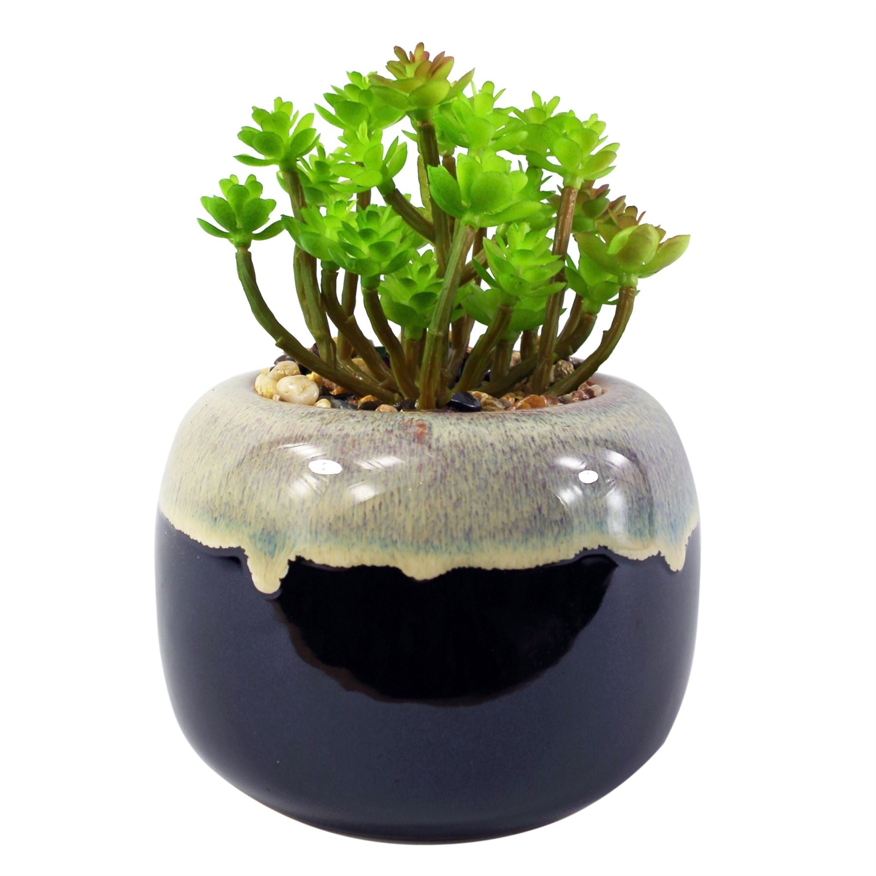 Artificial Plant Ceramic Planter Sedum Clavatum 16cm