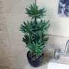 Artificial Tropical Yukka in Planter 60cm