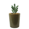 Artificial Succlent Plant Set 3 Mini Ceramic Planters Plants Stone