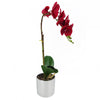 Artificial Orchid Red Silver Pot 46cm