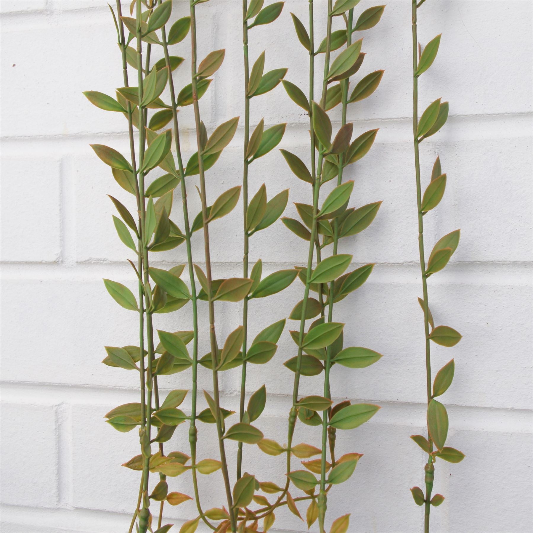 Artificial Foliage Hanging Fern Plant Pearls Long Large