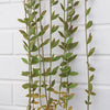 Artificial Foliage Hanging Fern Plant Pearls Long Large