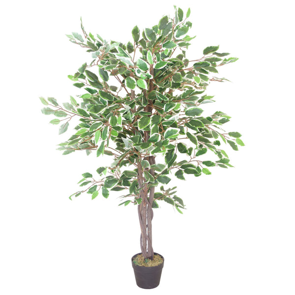 Artificial Ficus Tree Plant White Edge Twist 130cm Plants