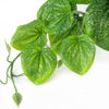 Artificial Trailing Green Pothos Plant