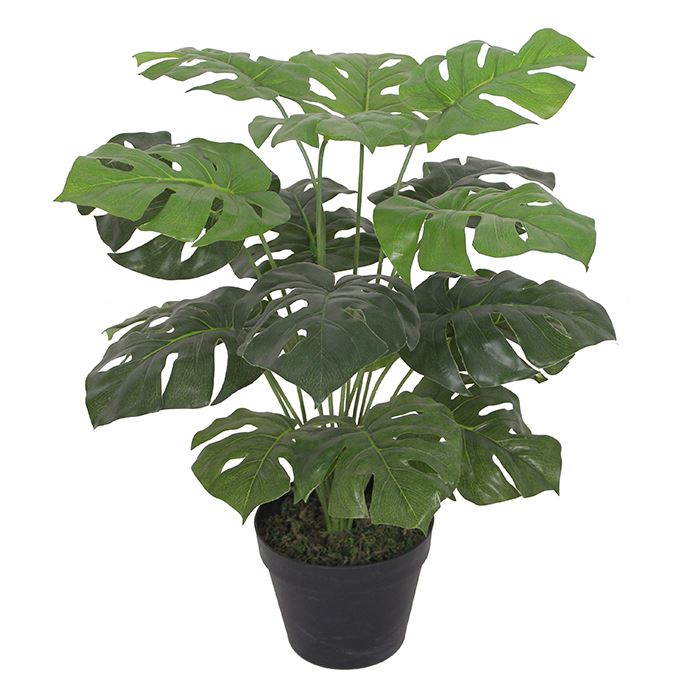 Artificial Monstera Plant 60cm Plants Cheese Plant