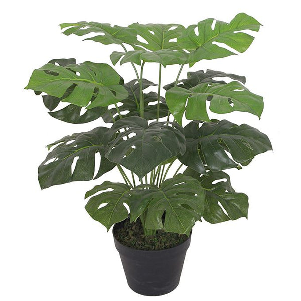 Artificial Monstera Plant 60cm Plants Cheese Plant