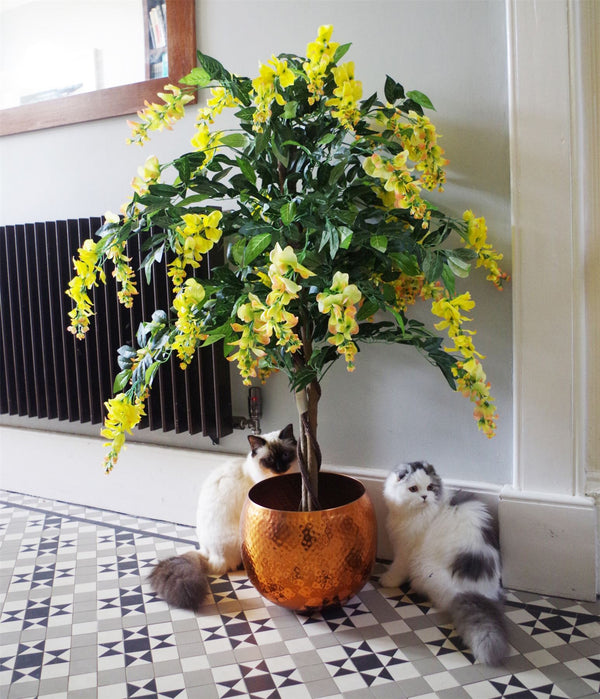 Blossom Tree Artificial Wisteria 120cm Yellow