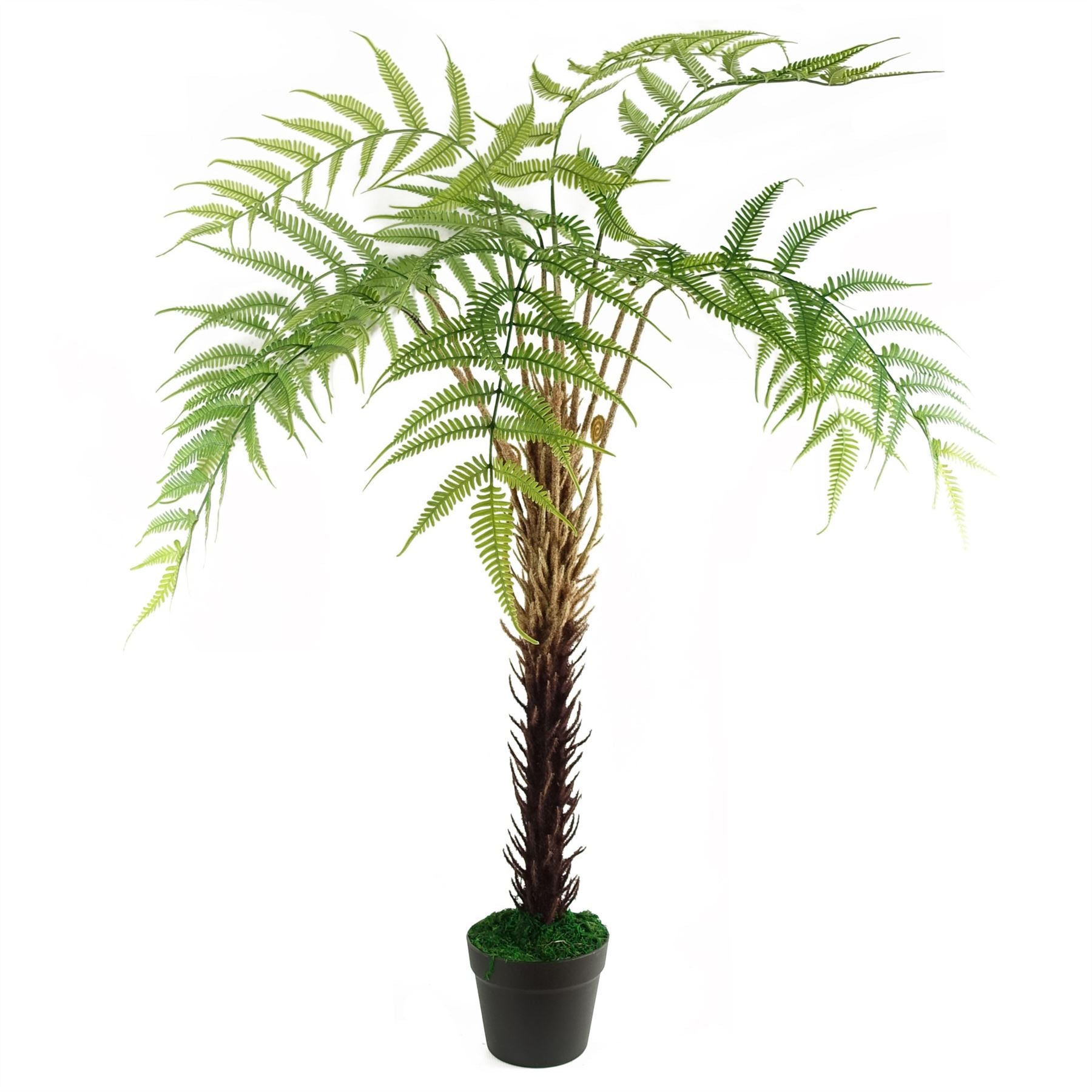 Artificial Fern Tree Look