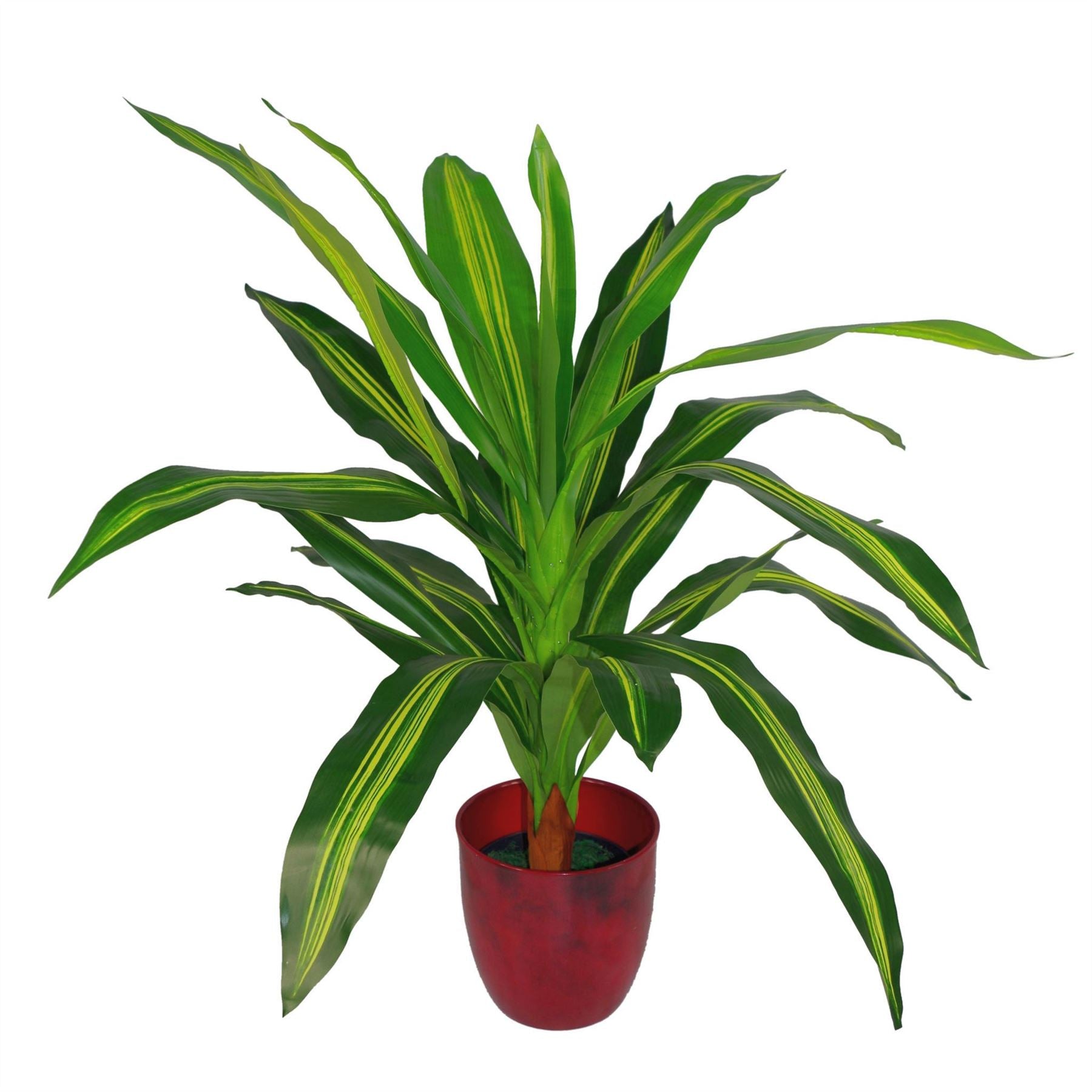 Tropical Artificial Plants 90cm Dracaena House Plant