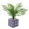 Ceramic Cube Planter Print Blue Eye Plant Pot