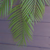 Artificial Hanging Fern Plant 120cm Artificial Hanging Palm Plant