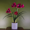 Artificial Amarylis Plant Pink