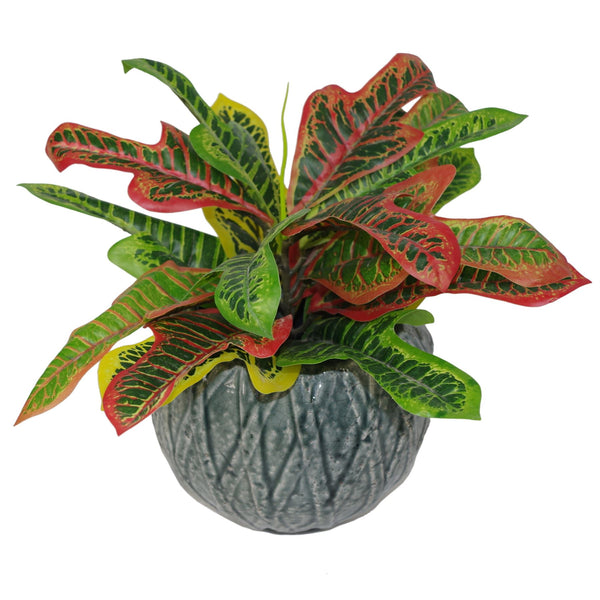 Artificial House Plant Codiaeum Multicoloured Office Plant 40cm Bright Croton