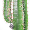 Artificial Cacti Cactus Plant 110cm Realistic Plants Realistic Faux House Plants