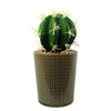 Artificial Succlent Plant Set 3 Mini Ceramic Planters Plants Stone