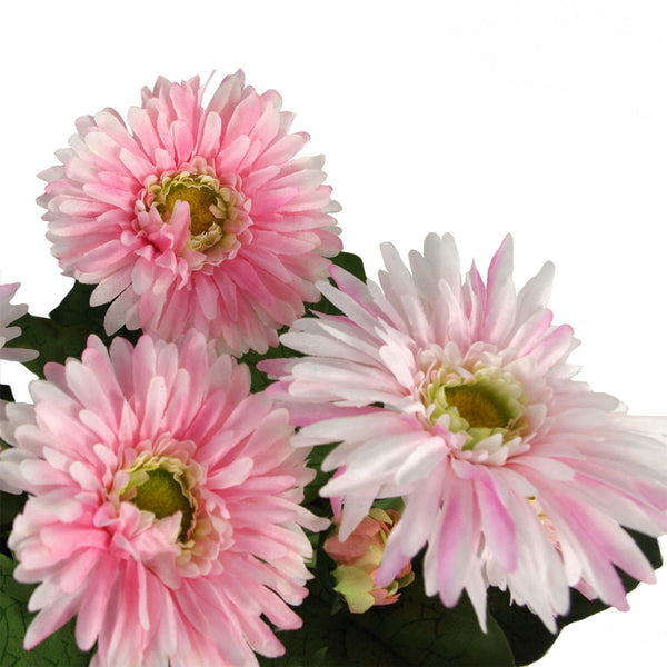 Pink Daisy Flowers Plant Plant Artificial