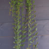 Artificial Hanging Fern Plant 120cm