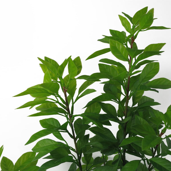 Artificial Trees Green Ficus Tree 80cm Leaf