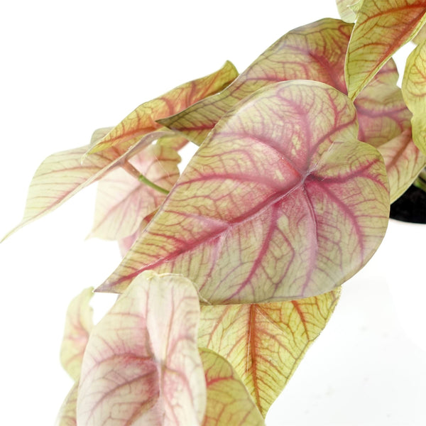 Artificial Pink Caladium Trailing Plant