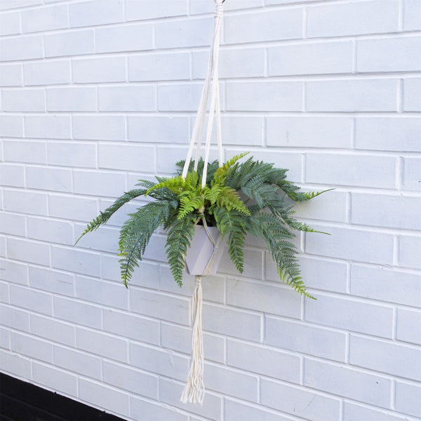 Urban Jungle Hanging Fern Plant 100cm Plants