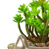 Artificial Plant Ceramic Fox Planter Grey Fox Sedum Clavatum 15cm