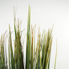 Artificial Grass Plant Grasses Plants Pot Green 2ft 60cm