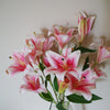 Artificial Flowers Lily Plant Pink Bare Stem 60cm Pack 12