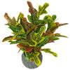 Tropical Artificial Plants 65cm