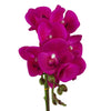 Orchid Artificial Dark Pink Silver 50cm Phalaenopsis