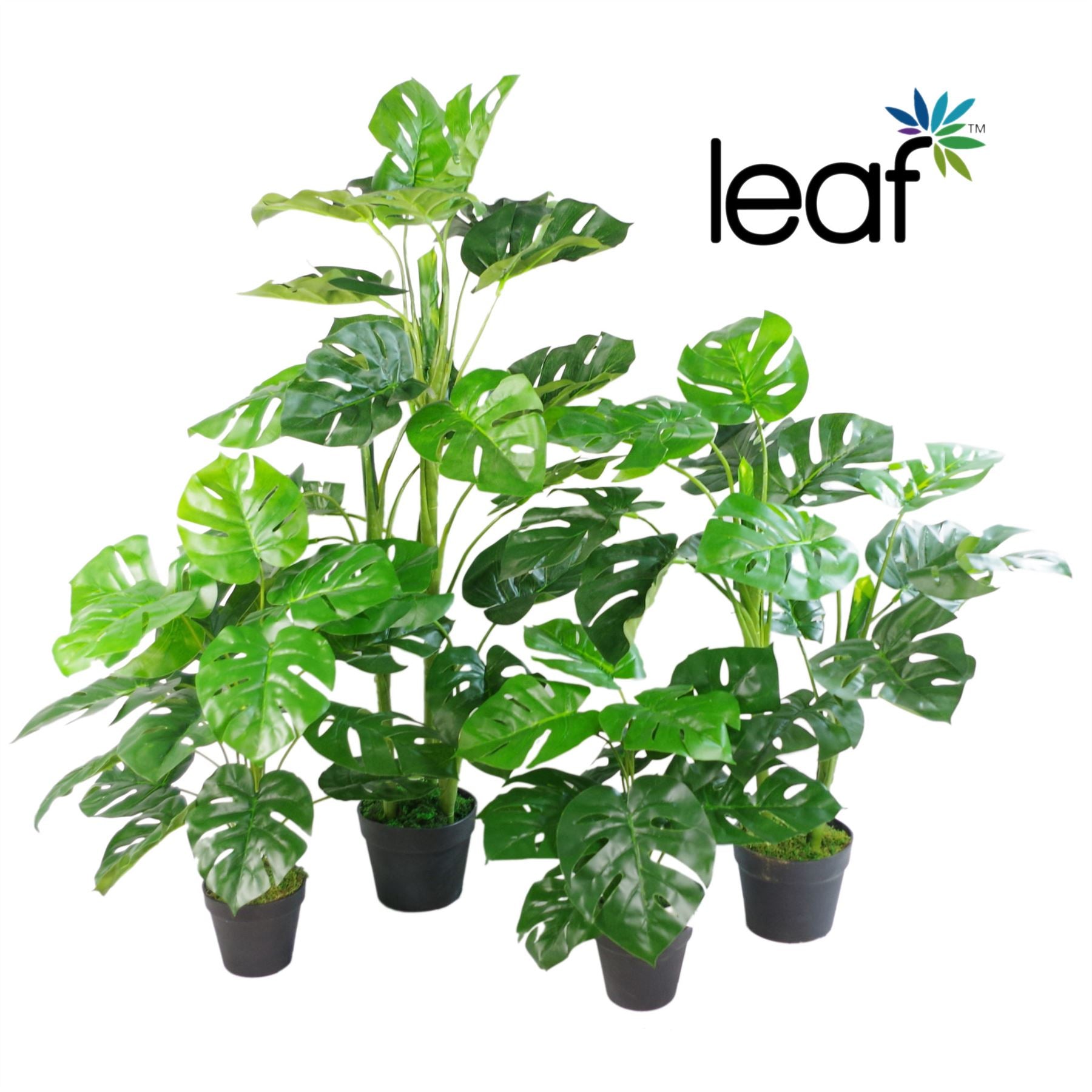 Artificial Cheese Plant Monstera Plants 100cm Monstera 100cm