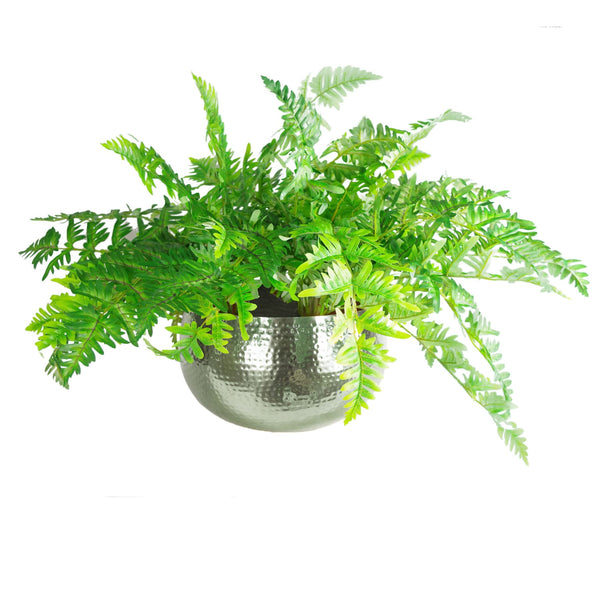 Artificial Fern XL Metal Silver Bowl Planter 50x65cm