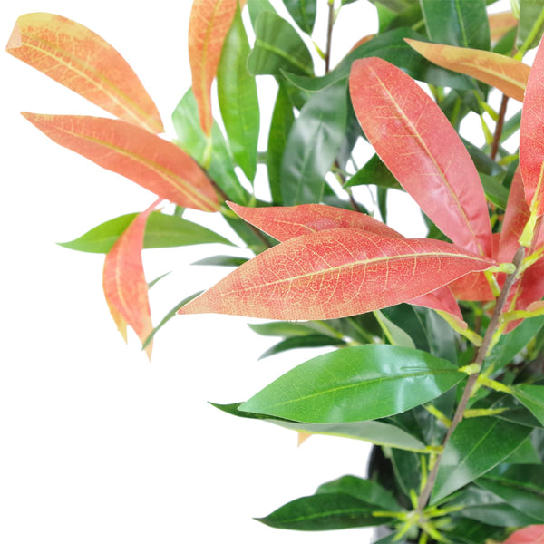 Artificial Ficus Tree Plant 80cm Red Green Mini Bush Colourful