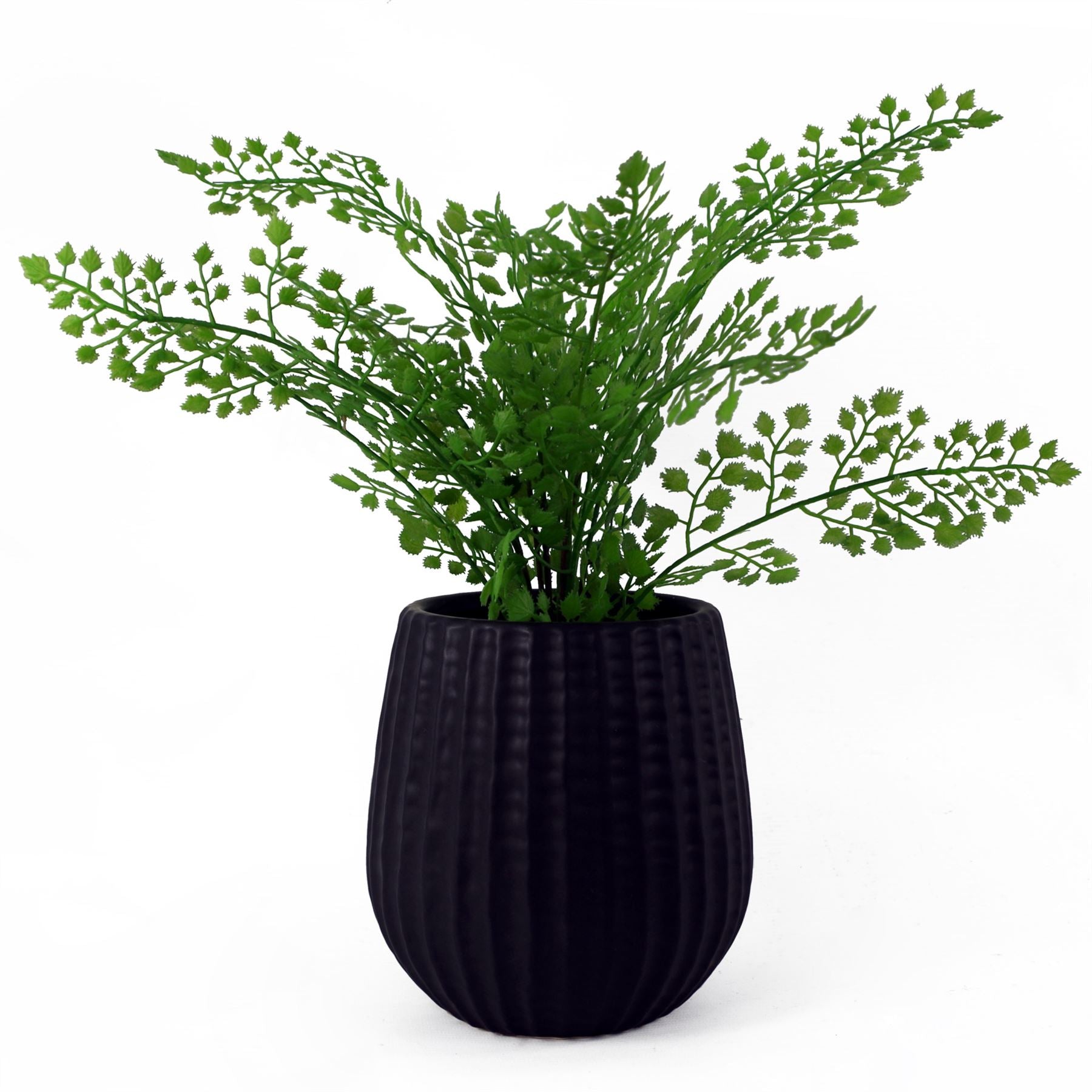 Black Ceramic Planter